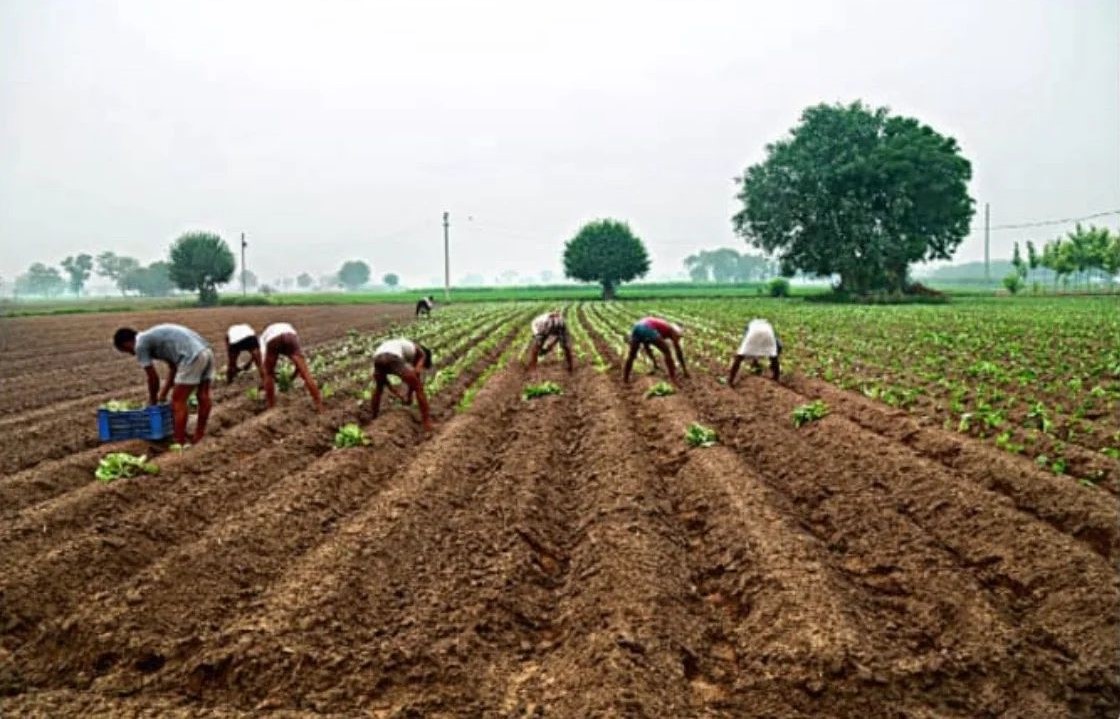 31f1035d-c269-42a8-a620-d1f5208f8882