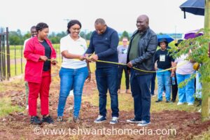 WhatsApp Image 2025-09-11 at 13.44.26 (1)