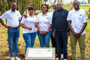 e36d317b-6d7a-40a3-8215-3f55a55b789f